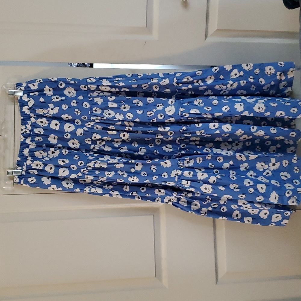 Zara Blue Floral Maxi Skirt